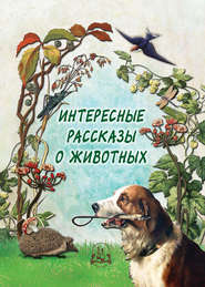 бесплатно читать книгу Интересные рассказы о животных автора Н. Рудакова