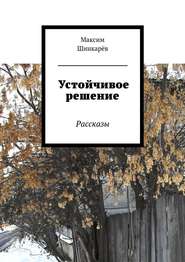 бесплатно читать книгу Устойчивое решение автора Максим Шинкарёв