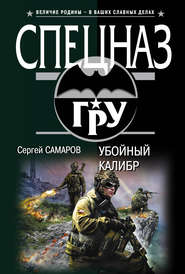 бесплатно читать книгу Убойный калибр автора Сергей Самаров