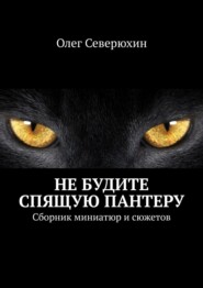 бесплатно читать книгу Не будите спящую пантеру автора Олег Северюхин