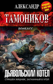бесплатно читать книгу Дьявольский котёл автора Александр Тамоников