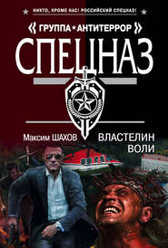 бесплатно читать книгу Властелин воли автора Максим Шахов