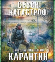 бесплатно читать книгу Карантин автора Вячеслав Шалыгин