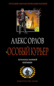 бесплатно читать книгу Особый курьер автора Алекс Орлов