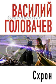 бесплатно читать книгу Схрон автора Василий Головачев