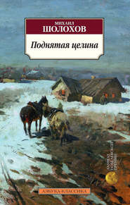 бесплатно читать книгу Поднятая целина автора Михаил Шолохов