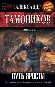 бесплатно читать книгу Путь ярости автора Александр Тамоников