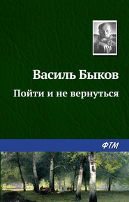 бесплатно читать книгу Пойти и не вернуться автора Василий Быков