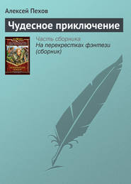 бесплатно читать книгу Чудесное приключение автора Алексей Пехов