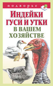 бесплатно читать книгу Индейки, гуси и утки в вашем хозяйстве автора Тамара Мороз