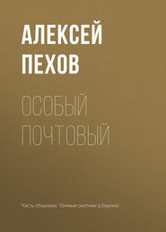 бесплатно читать книгу Особый почтовый автора Алексей Пехов