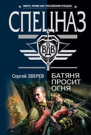 бесплатно читать книгу Батяня просит огня автора Сергей Зверев
