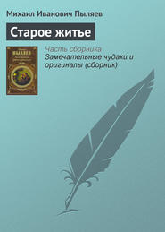 бесплатно читать книгу Старое житье автора Михаил Пыляев
