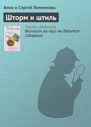 бесплатно читать книгу Шторм и штиль автора Анна и Сергей Литвиновы