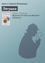 бесплатно читать книгу Лягушка автора Анна и Сергей Литвиновы