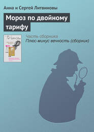 бесплатно читать книгу Мороз по двойному тарифу автора Анна и Сергей Литвиновы
