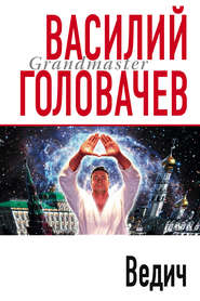 бесплатно читать книгу Ведич автора Василий Головачев