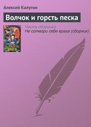 бесплатно читать книгу Волчок и горсть песка автора Алексей Калугин
