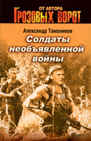 бесплатно читать книгу Солдаты необъявленной войны автора Александр Тамоников