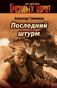 бесплатно читать книгу Последний штурм автора Александр Тамоников