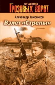бесплатно читать книгу Взлет «Стрелы» автора Александр Тамоников