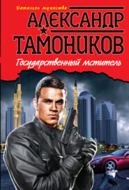 бесплатно читать книгу Государственный мститель автора Александр Тамоников