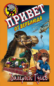 бесплатно читать книгу Привет от верблюда автора Валерий Гусев