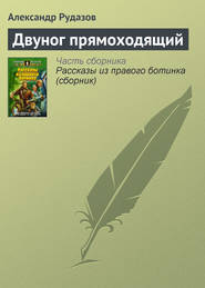бесплатно читать книгу Двуног прямоходящий автора Александр Рудазов