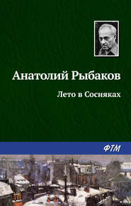 бесплатно читать книгу Лето в Сосняках автора Анатолий Рыбаков