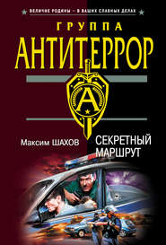 бесплатно читать книгу Секретный маршрут автора Максим Шахов