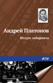 бесплатно читать книгу Штурм лабиринта автора Андрей Платонов