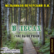 бесплатно читать книгу В лесах (часть первая) автора Павел Мельников-Печерский