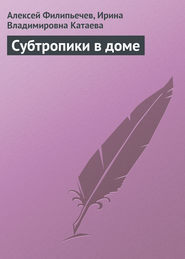 бесплатно читать книгу Субтропики в доме автора Алексей Филипьечев