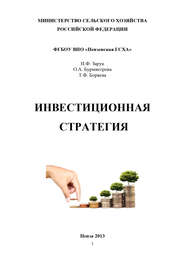 бесплатно читать книгу Инвестиционная стратегия автора Наталья Зарук