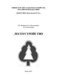 бесплатно читать книгу Лесоустройство автора Алексей Володькин