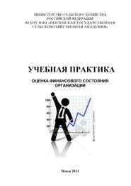бесплатно читать книгу Учебная практика. Оценка финансового состояния организации автора Ольга Тагирова