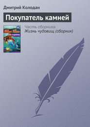 бесплатно читать книгу Покупатель камней автора Дмитрий Колодан