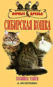 бесплатно читать книгу Сибирская кошка автора Андрей Беляченко