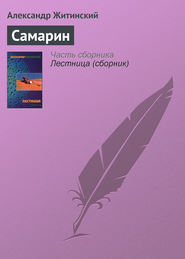 бесплатно читать книгу Самарин автора Александр Житинский