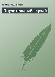 бесплатно читать книгу Поучительный случай автора Александр Етоев