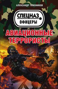 бесплатно читать книгу Авиационные террористы автора Александр Тамоников