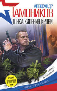 бесплатно читать книгу Точка кипения крови автора Александр Тамоников