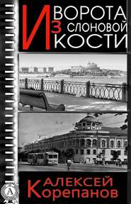 бесплатно читать книгу Ворота из слоновой кости автора Алексей Корепанов