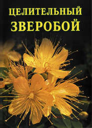 бесплатно читать книгу Целительный зверобой автора Иван Дубровин