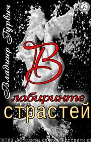бесплатно читать книгу В лабиринте страстей автора Владимир Гурвич