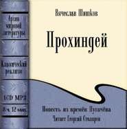 бесплатно читать книгу Прохиндей автора Вячеслав Шишков