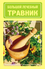 бесплатно читать книгу Большой лечебный травник автора Иван Дубровин