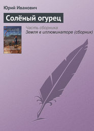 бесплатно читать книгу Солёный огурец автора Юрий Иванович