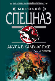 бесплатно читать книгу Акула в камуфляже автора Сергей Зверев