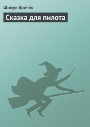 бесплатно читать книгу Сказка для пилота автора Шимун Врочек